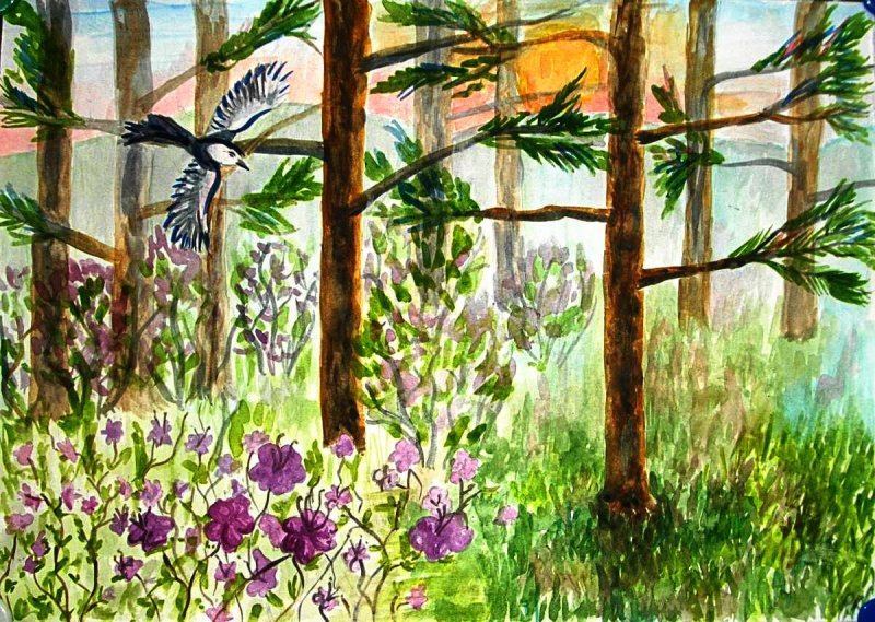 Багульник Яковлев