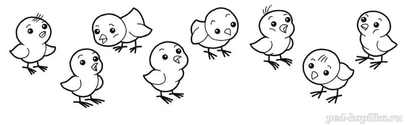 Цыпленок. Раскраски