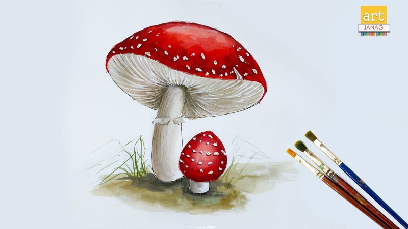 Мухомор рисунок