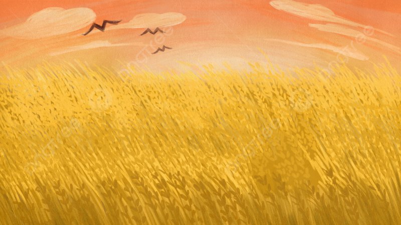 Нарисовать поле с пшеницей