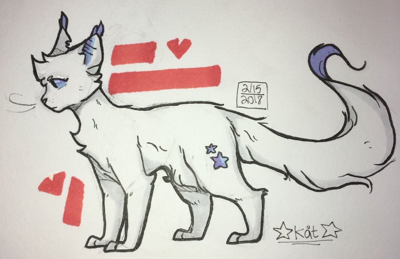 Рисунки котиков для срисовки