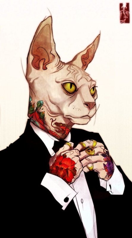 Кот сфинкс тату
