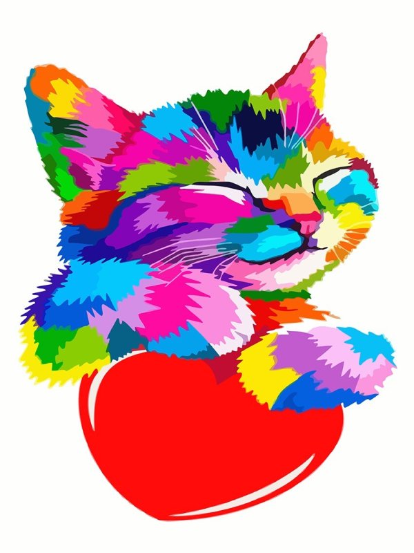 Разноцветный кот