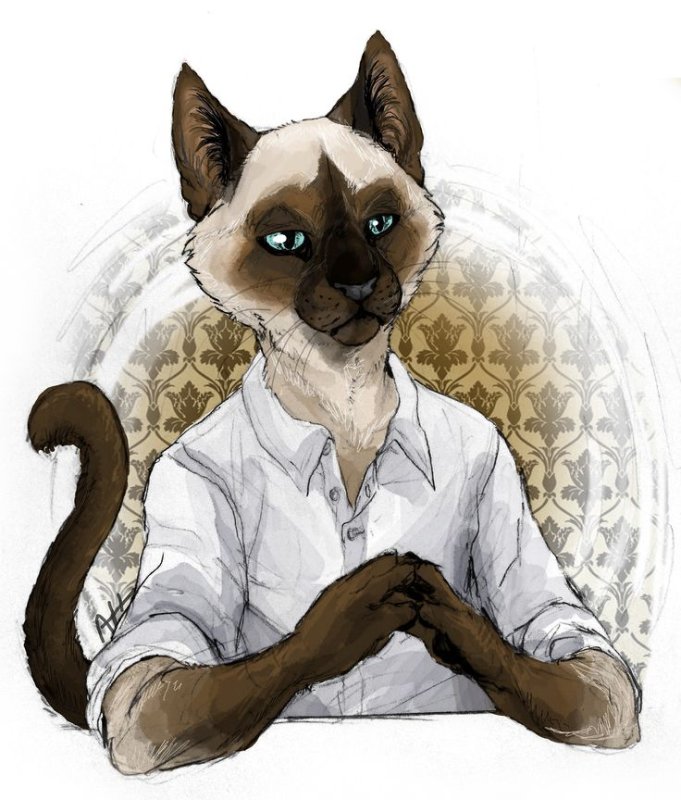 Сиамская кошка арт