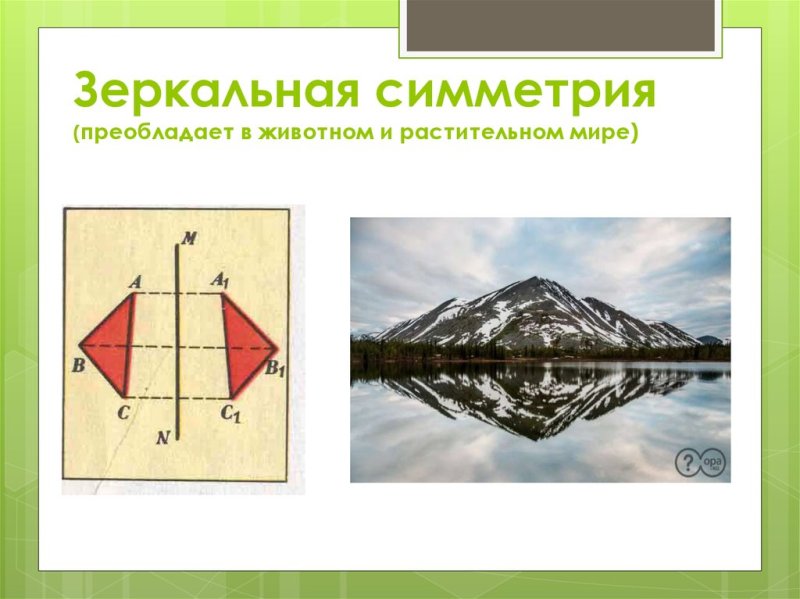 Симметрия относительно плоскости зеркальная симметрия