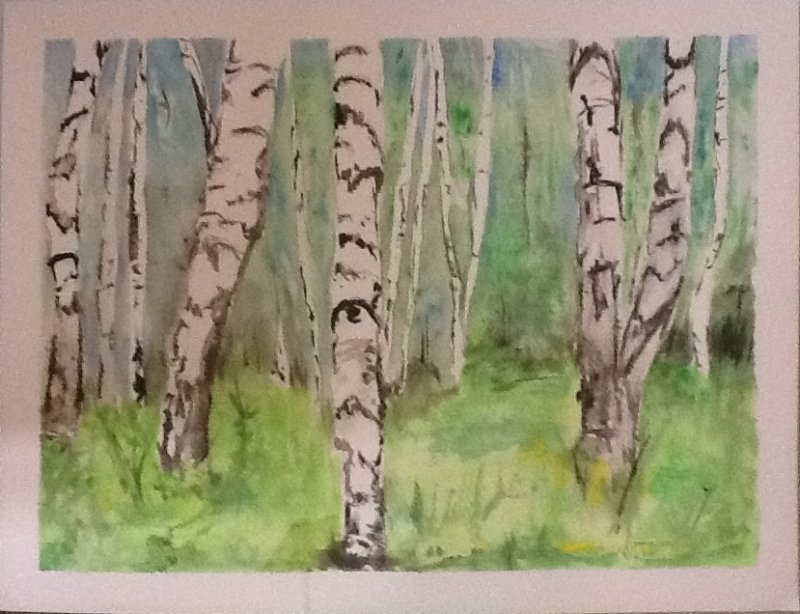 Рисование березы