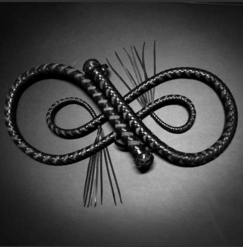 Плеть девятихвостка с шипами