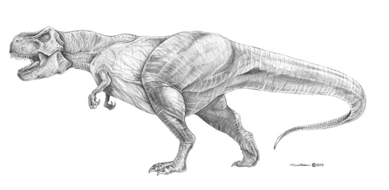 Динозавр набросок