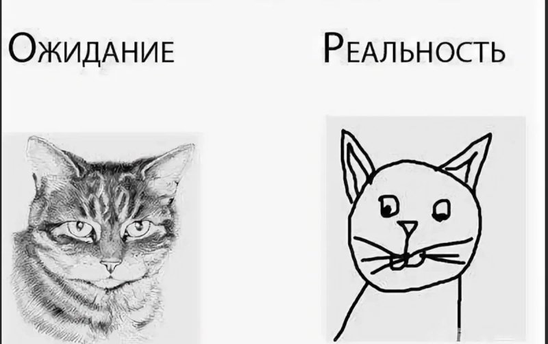 Ожидание и реальность нарисовать