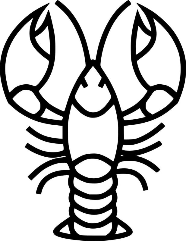 Рачки рисунок