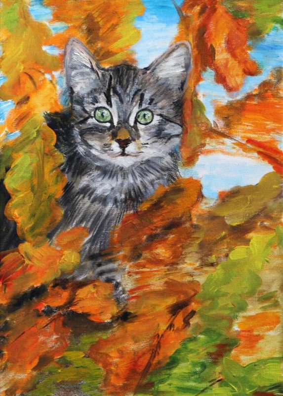Кот осень