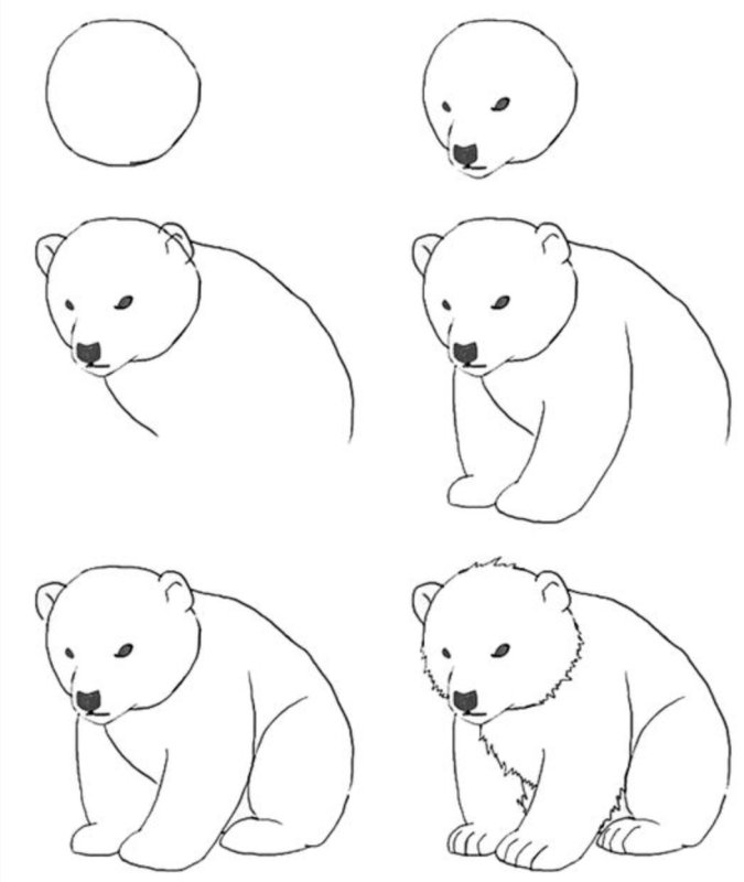 Медведь рисунок карандашом для детей легкий
