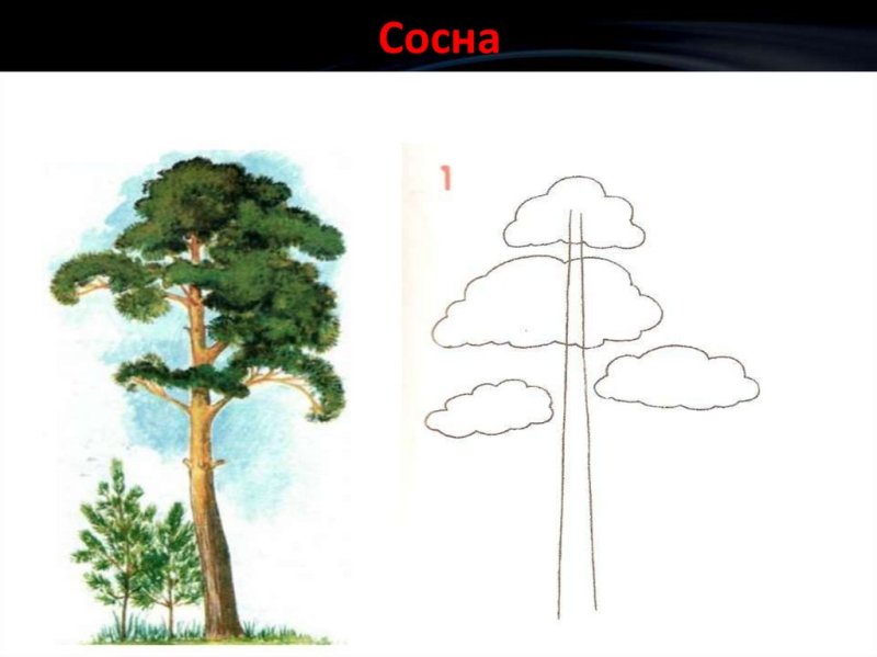 Дерево для рисования