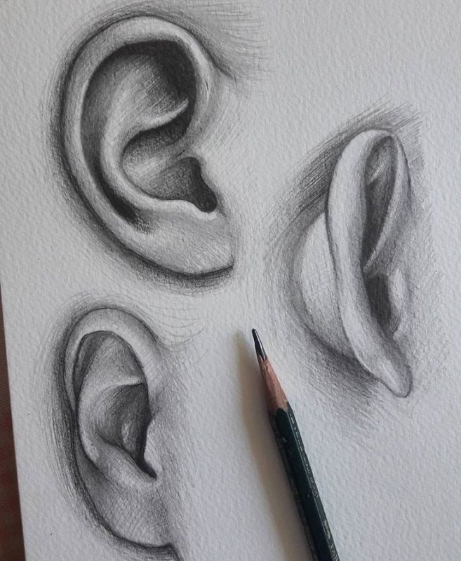 Красивые рисунки карандашом