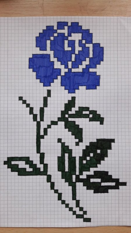 Рисование по клеткам