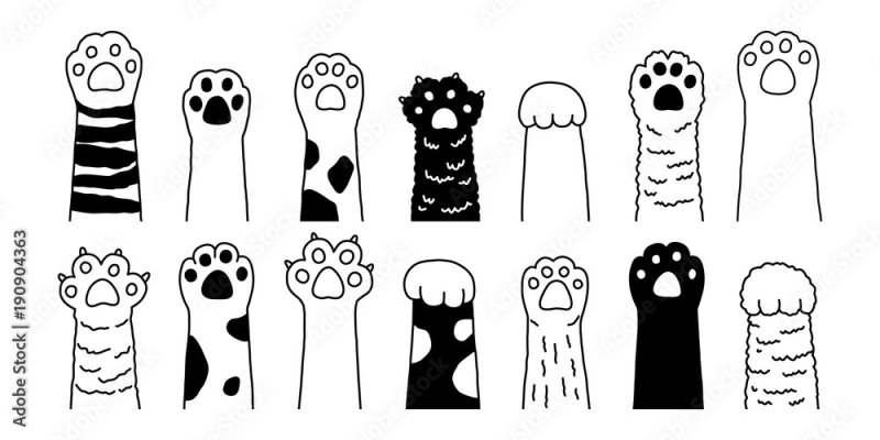 лапка для срисовки