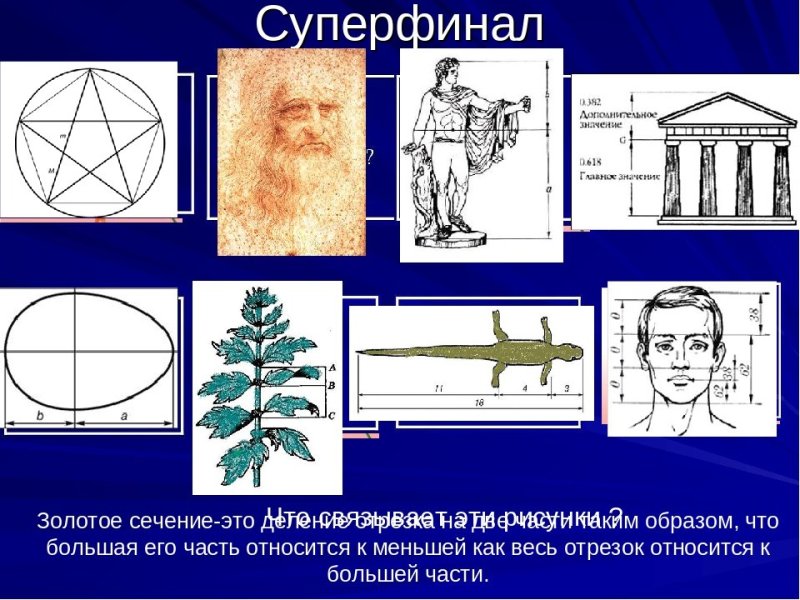 Золотое сечение в рисовании