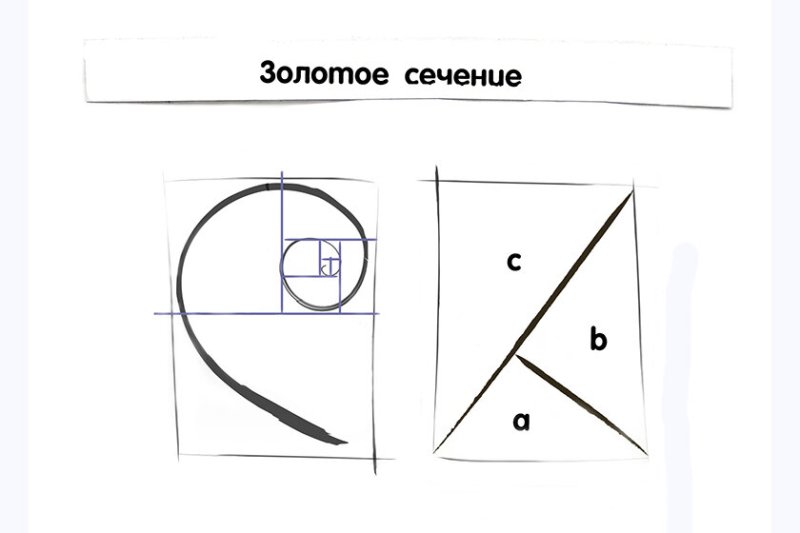 Золотое сечение в композиции