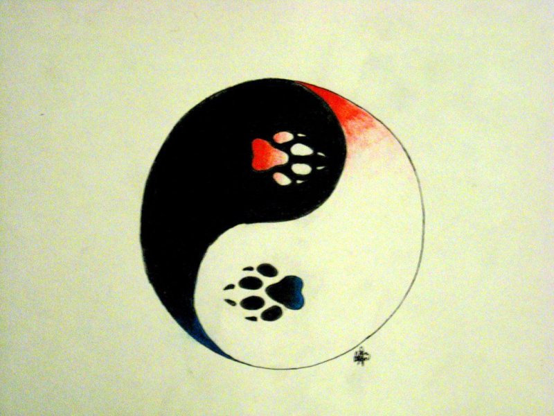 Инь Янь рисунок карандашом