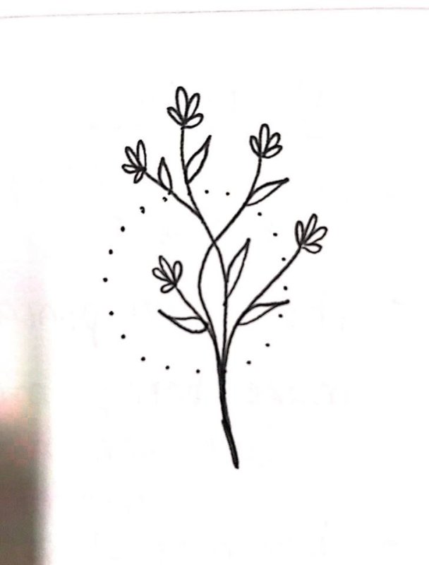 Красивые веточки для рисования