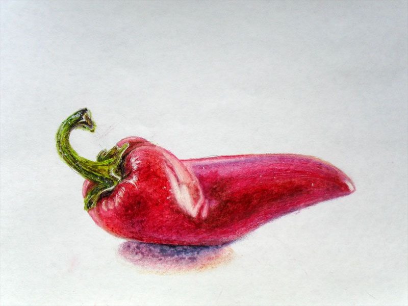 Овощи цветными карандашами