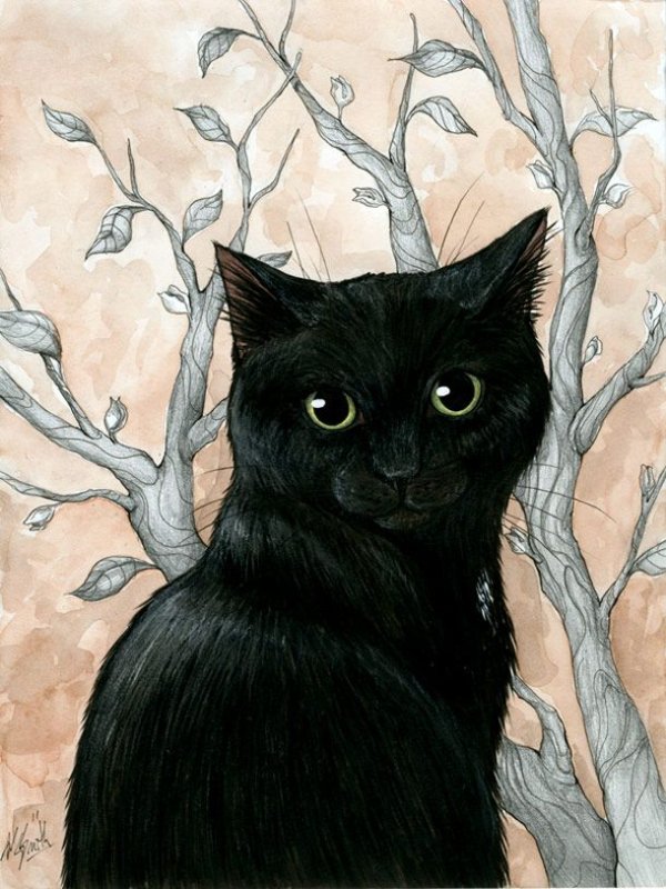 Чёрный кот