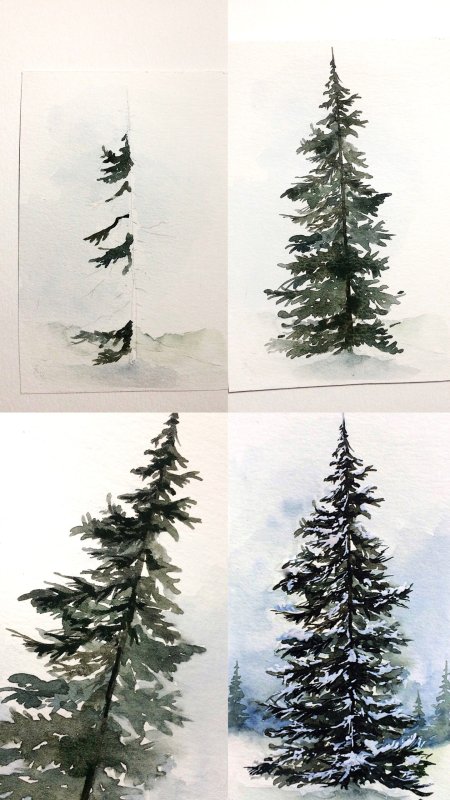 Рисование ели