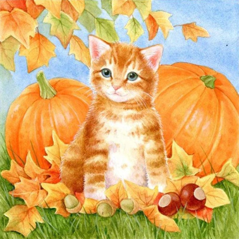 Алмазная мозаика рыжий котенок