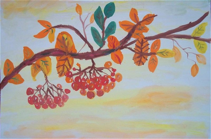 ветка рябины рисование