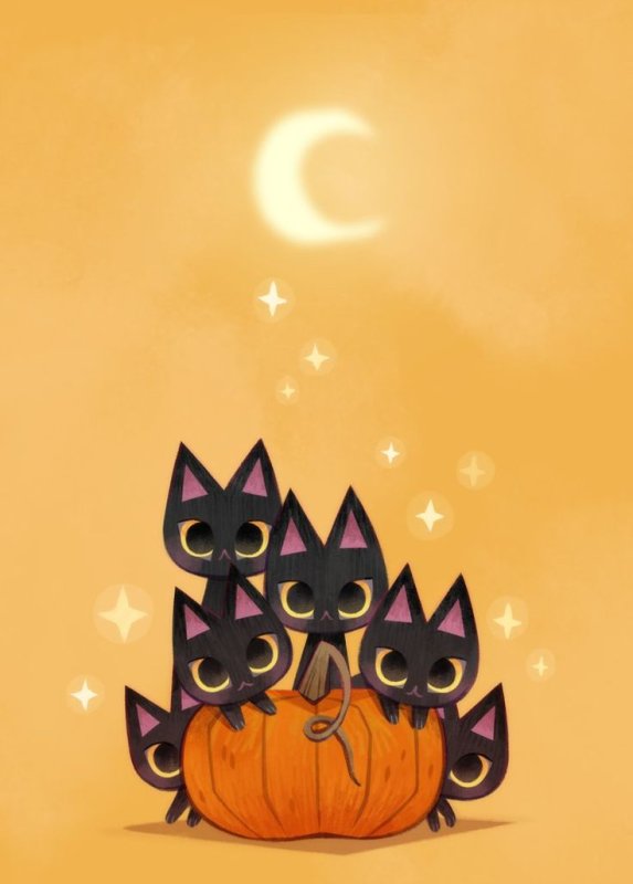 Хэллоуин кошка