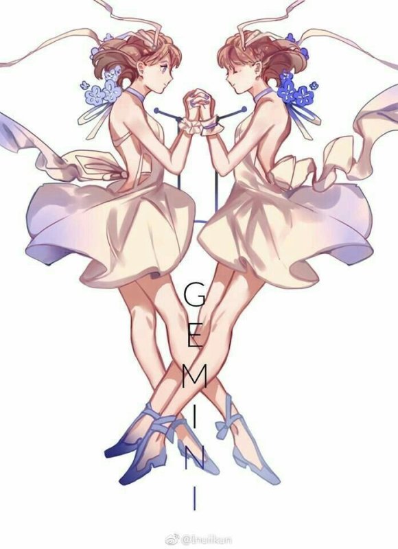 Хуманизация знаков зодиака Близнецы