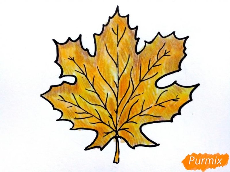 Кленовый лист рисунок