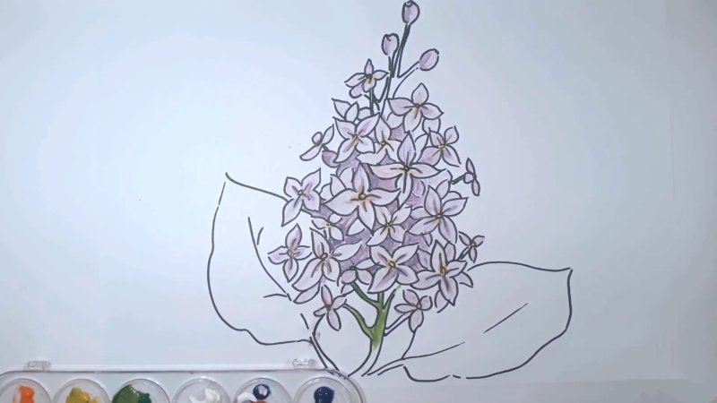 Веточка сирени карандашом