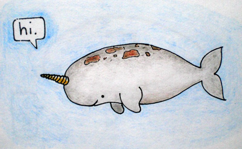 Рисунок кита для срисовки