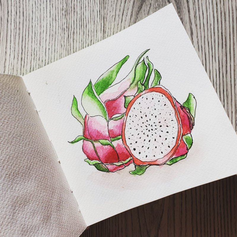 Картинки для срисовки в скетчбук фрукты