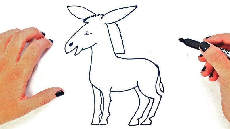 Нарисовать ишака легко