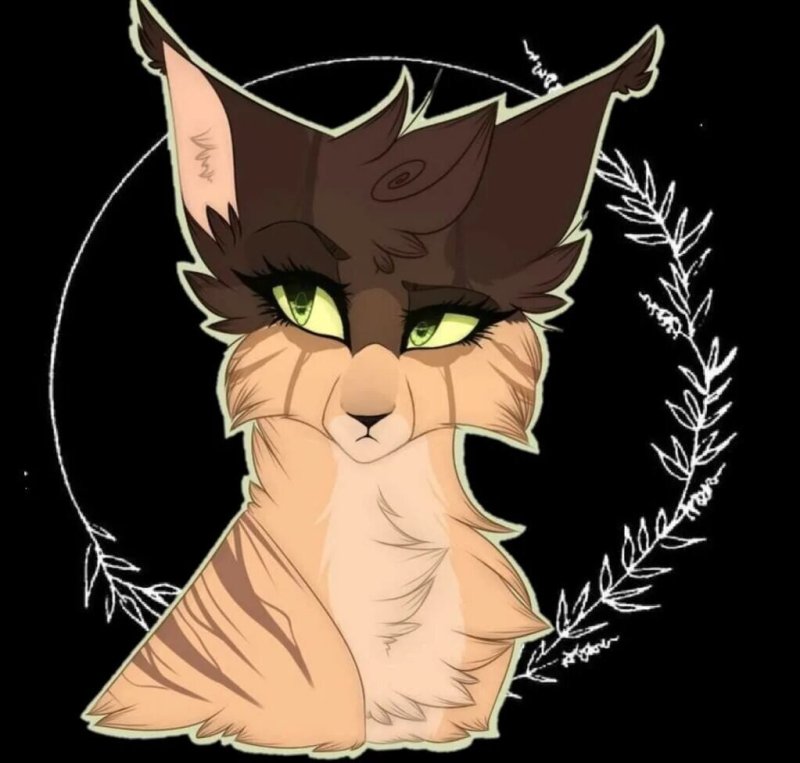 Коты Воители Локи