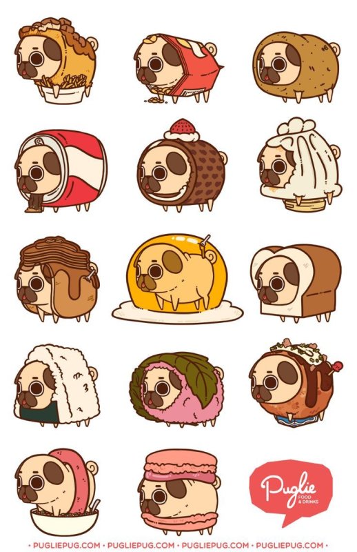 Puglie Мопс