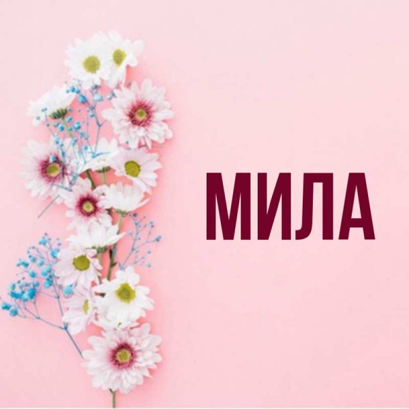 Имя Мила