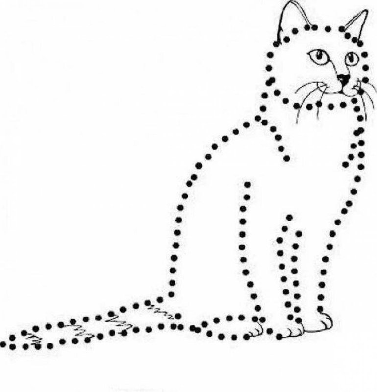 Рисование по точкам кошка