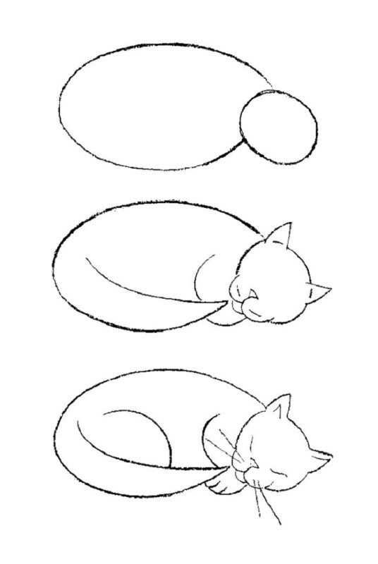 Кошка рисунок