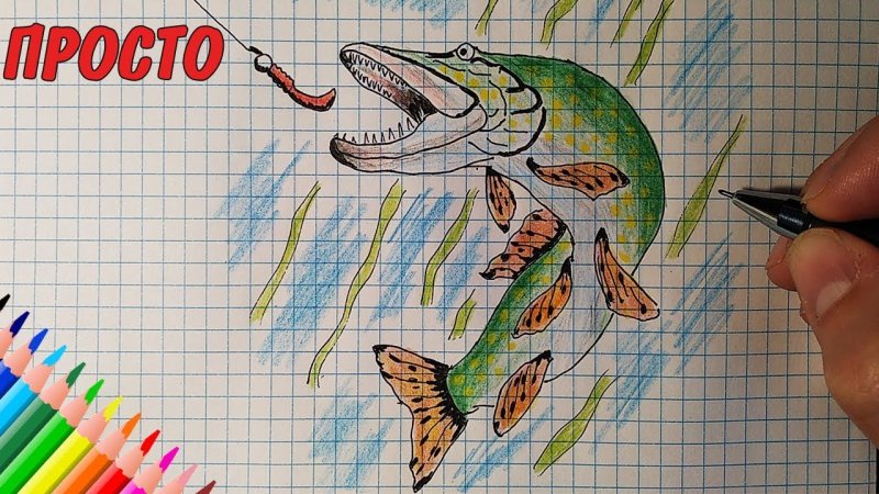 Рисунки щуки для срисовки