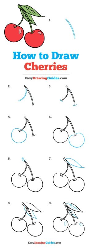 how to draw cherry