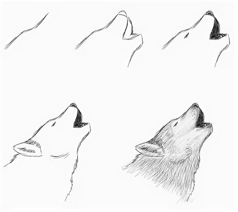 Лёгкие рисунки