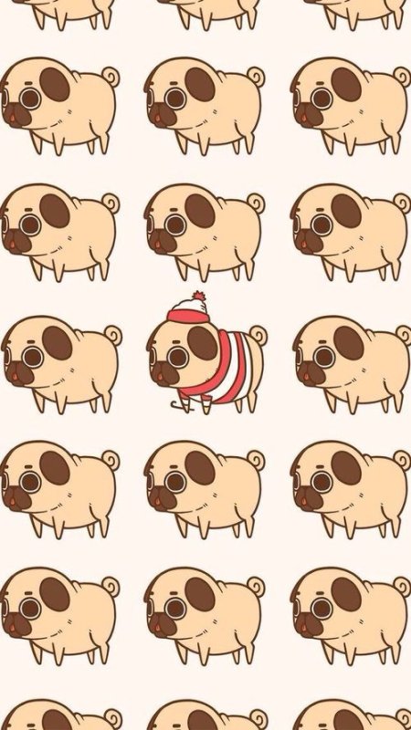 Кавай Мопс Puglie