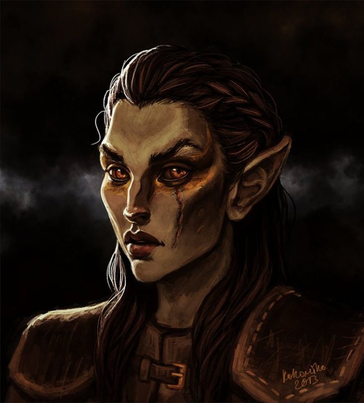 The Elder Scrolls босмеры