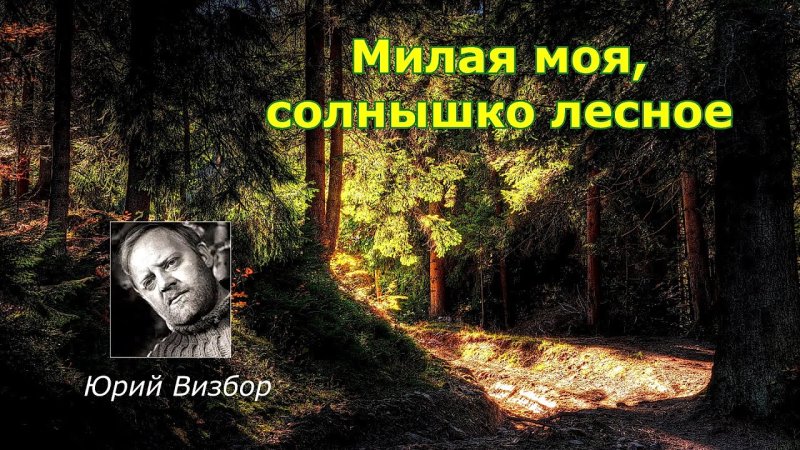 Визбор милая моя солнышко