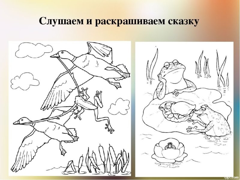 Иллюстрация к сказке лягушка путешественница 3 класс
