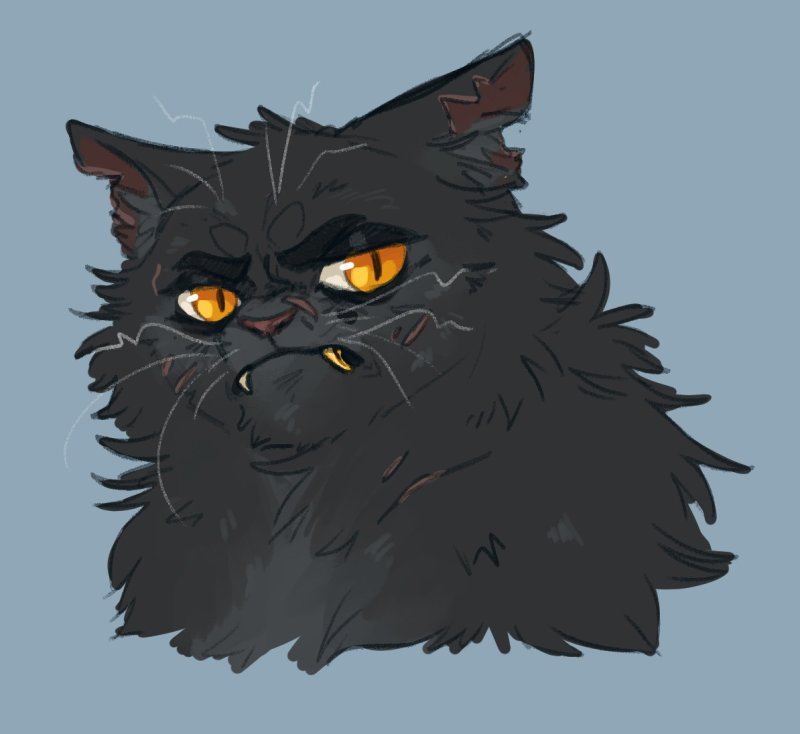 Коты Воители Щербатая арт