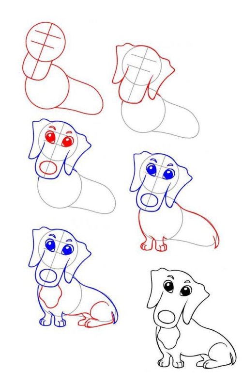 Поэтапный рисунок собаки